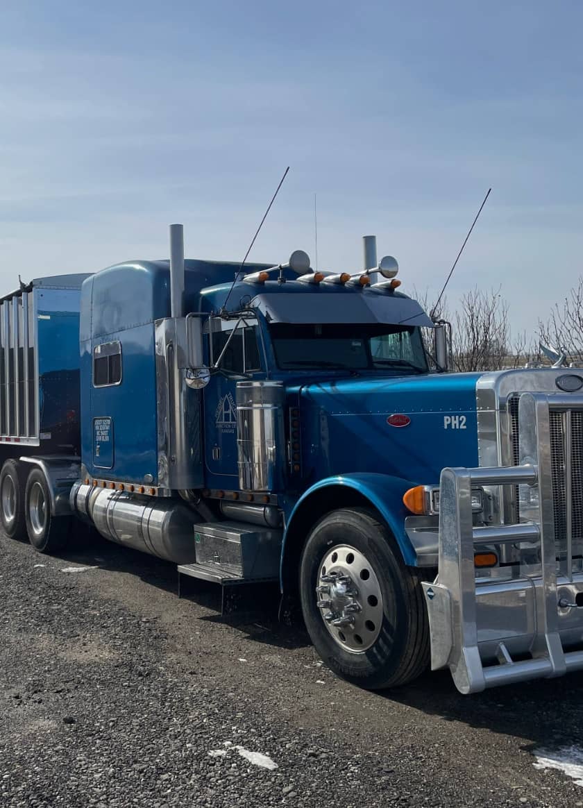 blue peterbilt